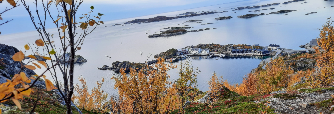 Ti på Topp i Senja kommune